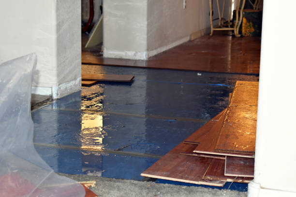 Professional Basement Flood Cleanup technician working in Arp, TX